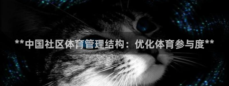 必一体育app下载安