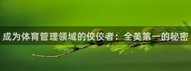 必一体育在线玩：成为