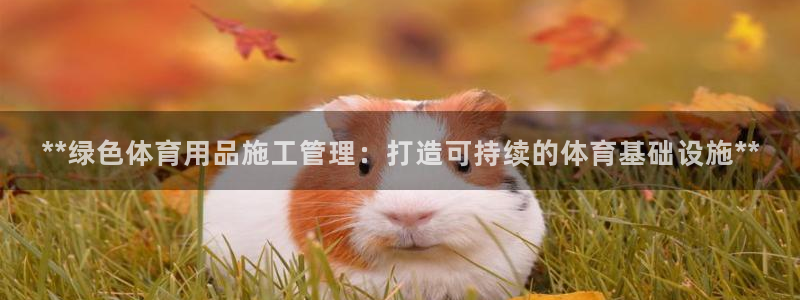 必一体育网站：**绿