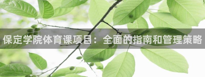 必一体育运动官网：保