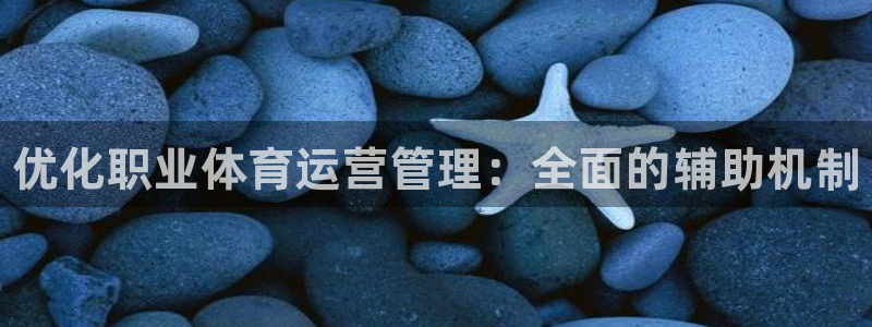 必一运动验证码：优化