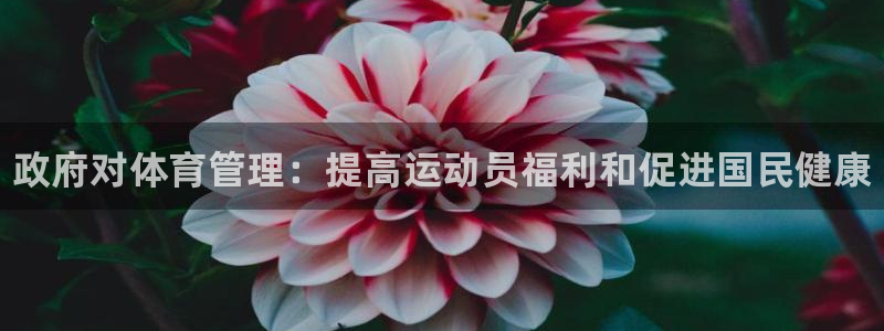 必一体育下载秀给网：
