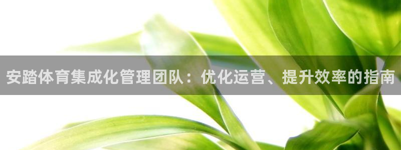 必一体育在线入口：安