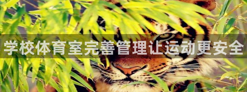 必一体育下载意思：学