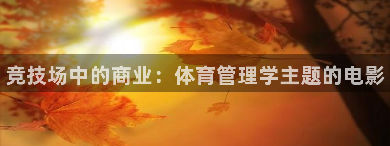 必一运动体育app：