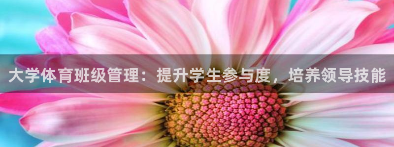 必一体育下载意思：大