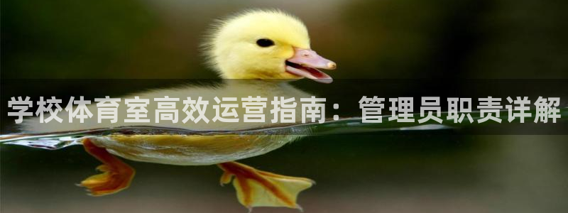 必一体育app官方下