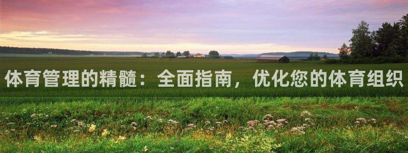 必一体育全站在线登录