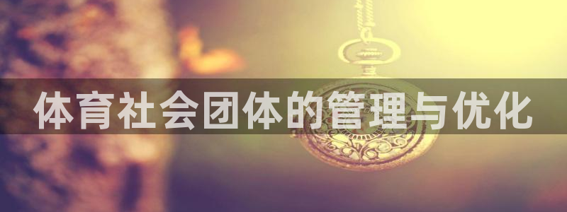 必一体育下载秀给网：体育社会团体的管理与优化