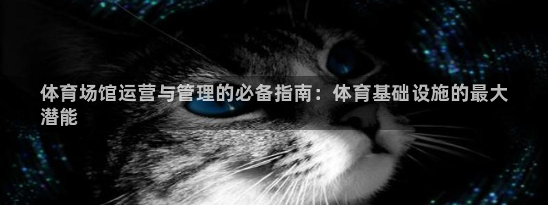 必一体育官方网站入口：体育场馆运营与管理的必备指南：体育基础