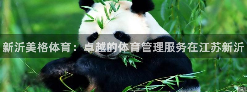 必一体育平台：新沂美格体育：卓越的体育管理服务在江苏新沂