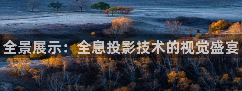 丫丫4480青苹果影院：全景展示：全息投影技术的视觉盛宴