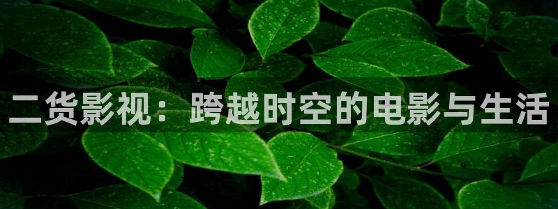 丫丫6080：二货影视：跨越时空的电影与生活