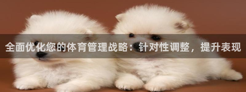 必一体育app官方网