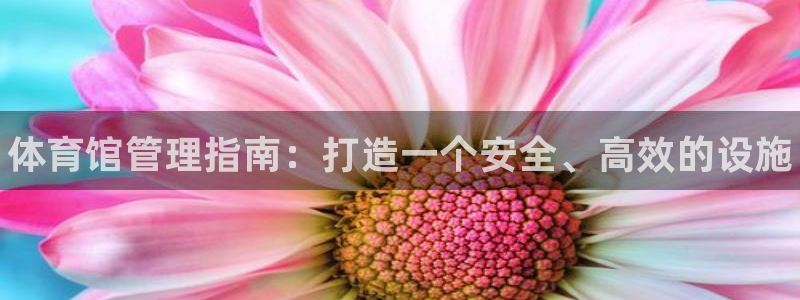 必一体育下载app下