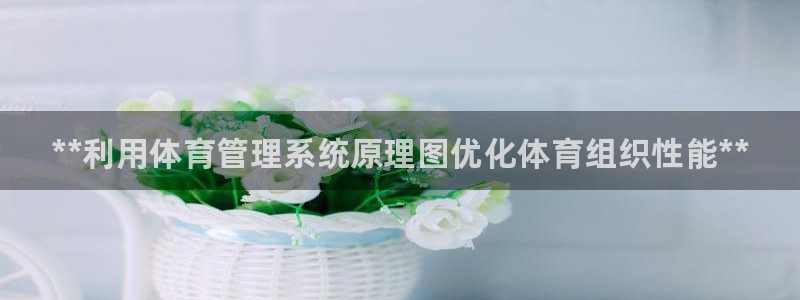 必一运动体育：**利