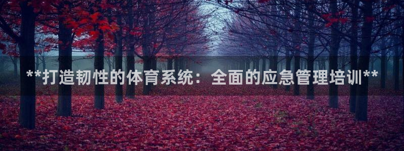 必一体育下载意思：*