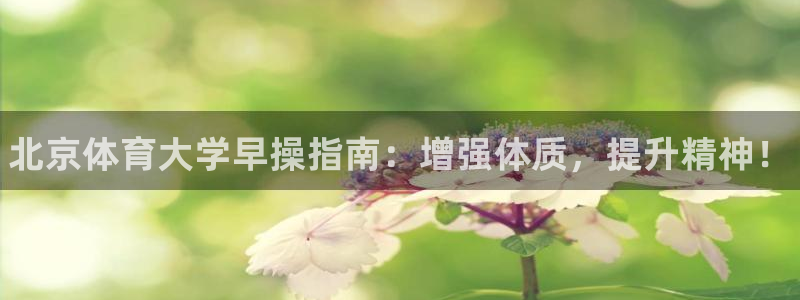 必一体育平台：北京体