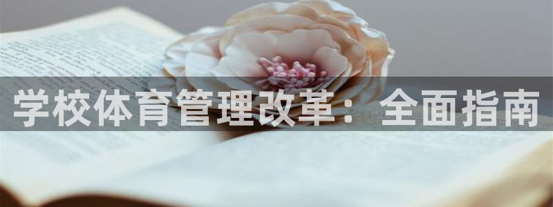 必一体育官网网站：学