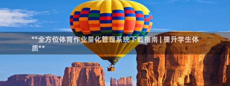 必一体育游戏玩法：*