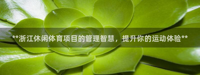 必一体育服下载最新版