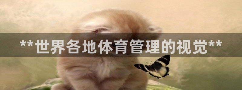 必一体育是哪里的台子：**世界各地体育管理的视觉**