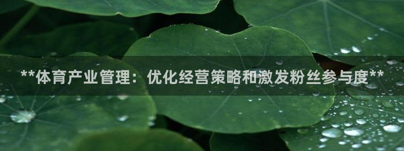 必一体育下载秀给网：