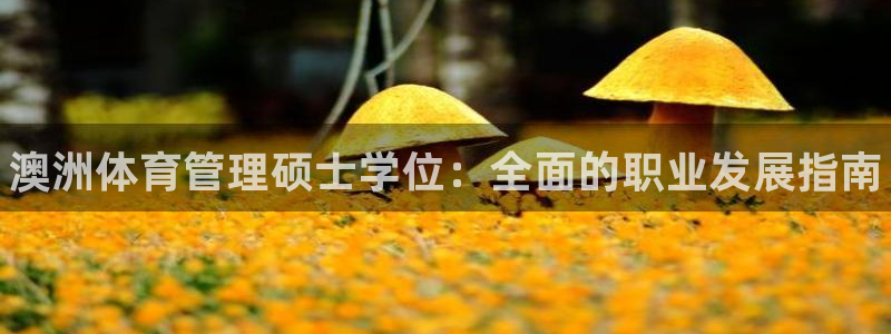 必一运动官网登录入口