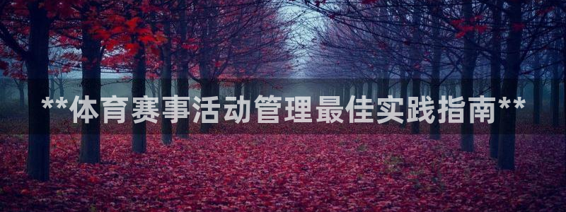 必一体育官网网站：*