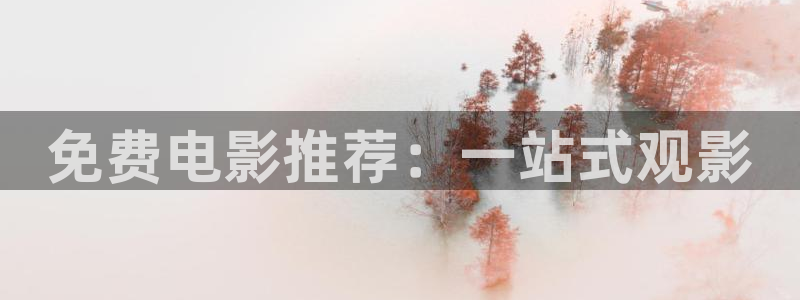 丫丫4480私人影院：免费电影推荐：一站式观影