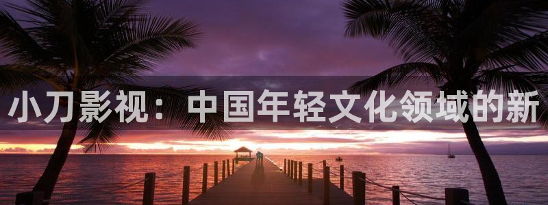 丫丫私人影院：小刀影视：中国年轻文化领域的新