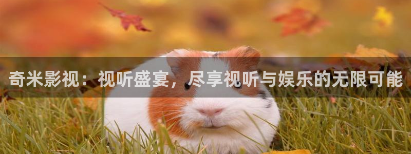 高清丫丫私人影院：奇米影视：视听盛宴，尽享视听与娱乐的无限可能