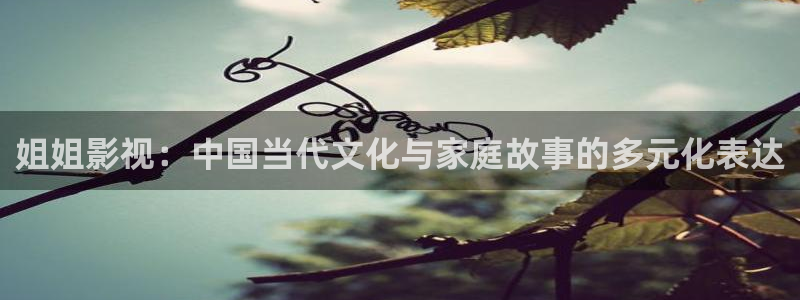 丫丫视频：姐姐影视：中国当代文化与家庭故事的多元化表达