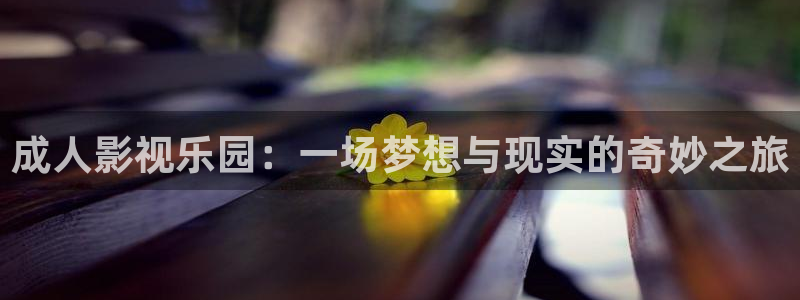 丫丫影院伦理片：成人影视乐园：一场梦想与现实的奇妙之旅