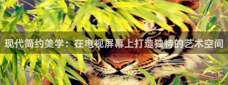 丫丫4480：现代简约美学：在电视屏幕上打造独特的艺术空间
