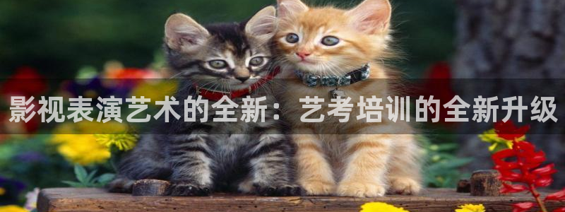丫丫影院免费在线看电影：影视表演艺术的全新：艺考培训的全新升级