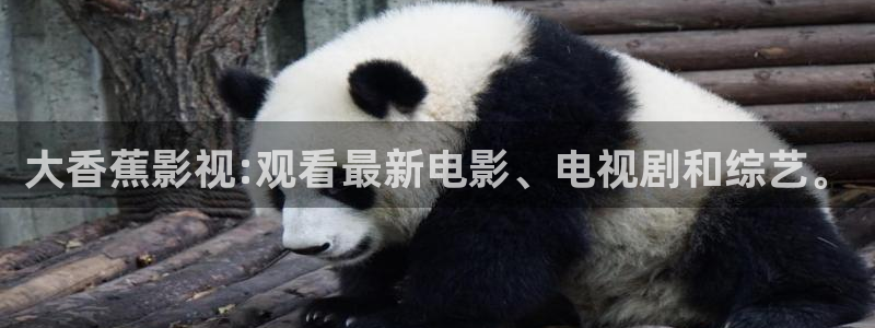 丫丫影院免费在线看电视剧：大香蕉影视:观看最新电影、电视剧和综艺。
