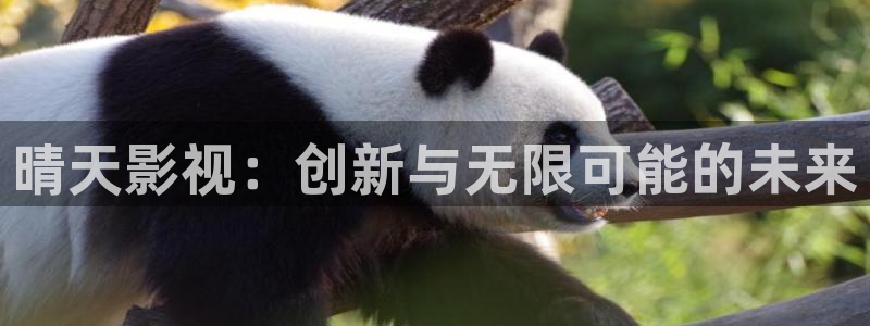 丫丫影院免费在线看电影：晴天影视：创新与无限可能的未来
