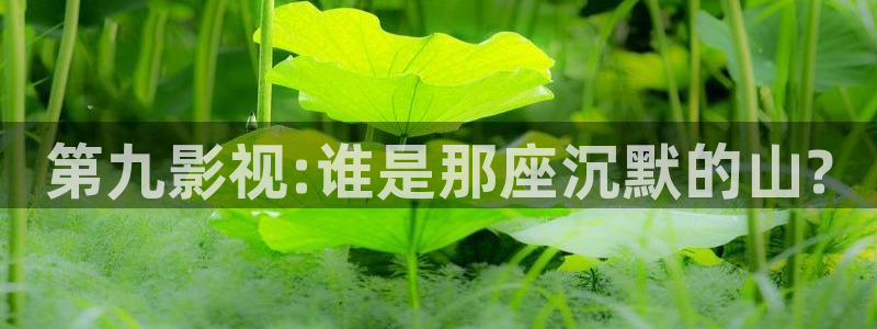 丫丫4410青苹果影院：第九影视:谁是那座沉默的山?