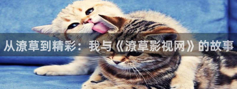 丫丫影视：从潦草到精彩：我与《潦草影视网》的故事