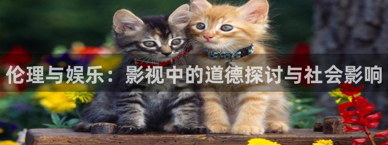 丫丫光棍影院：伦理与娱乐：影视中的道德探讨与社会影响