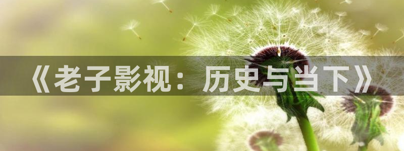 丫丫影院在线播放电视剧：《老子影视：历史与当下》